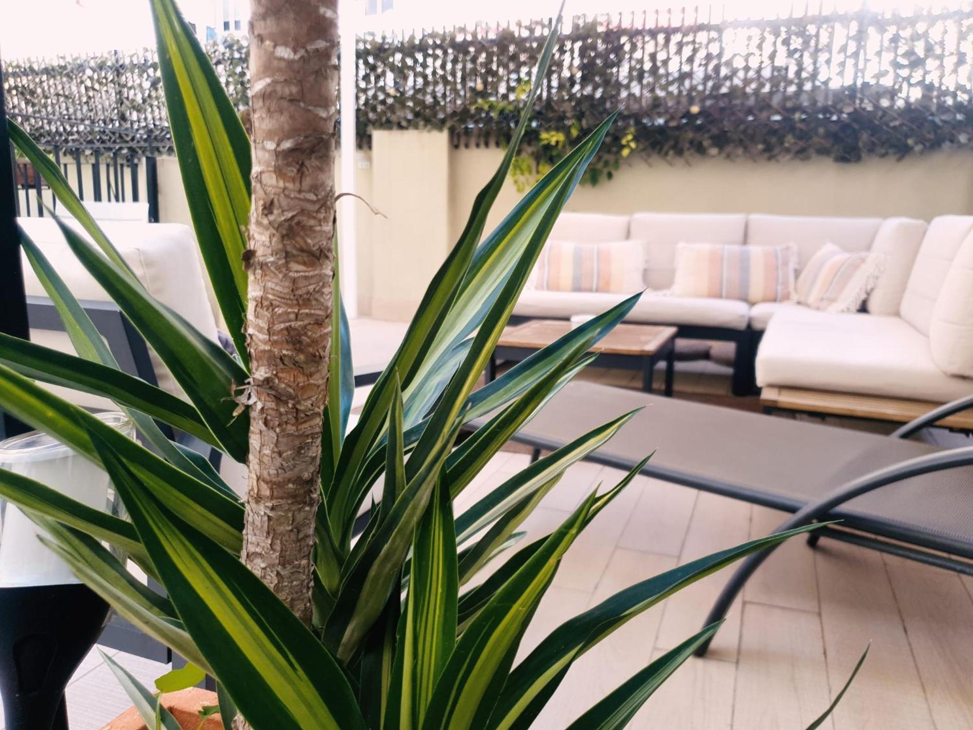 Zalamera Bnb — Fotos 1